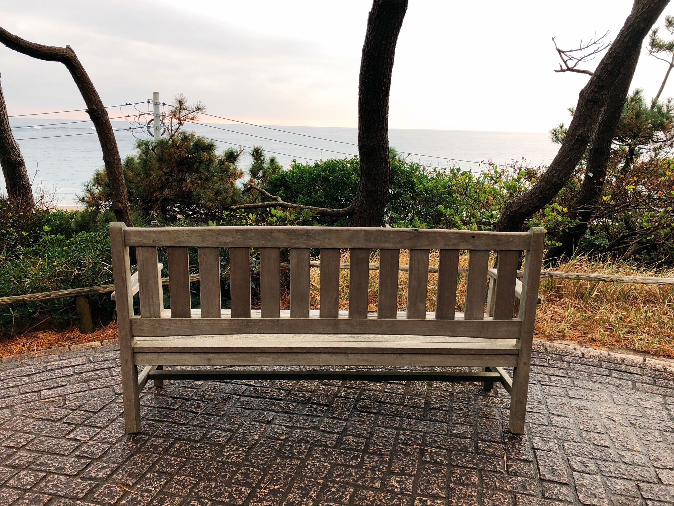 しおさい公園のベンチ。The Canvas Hayama Parkホームページの写真と似ていないだろうか？