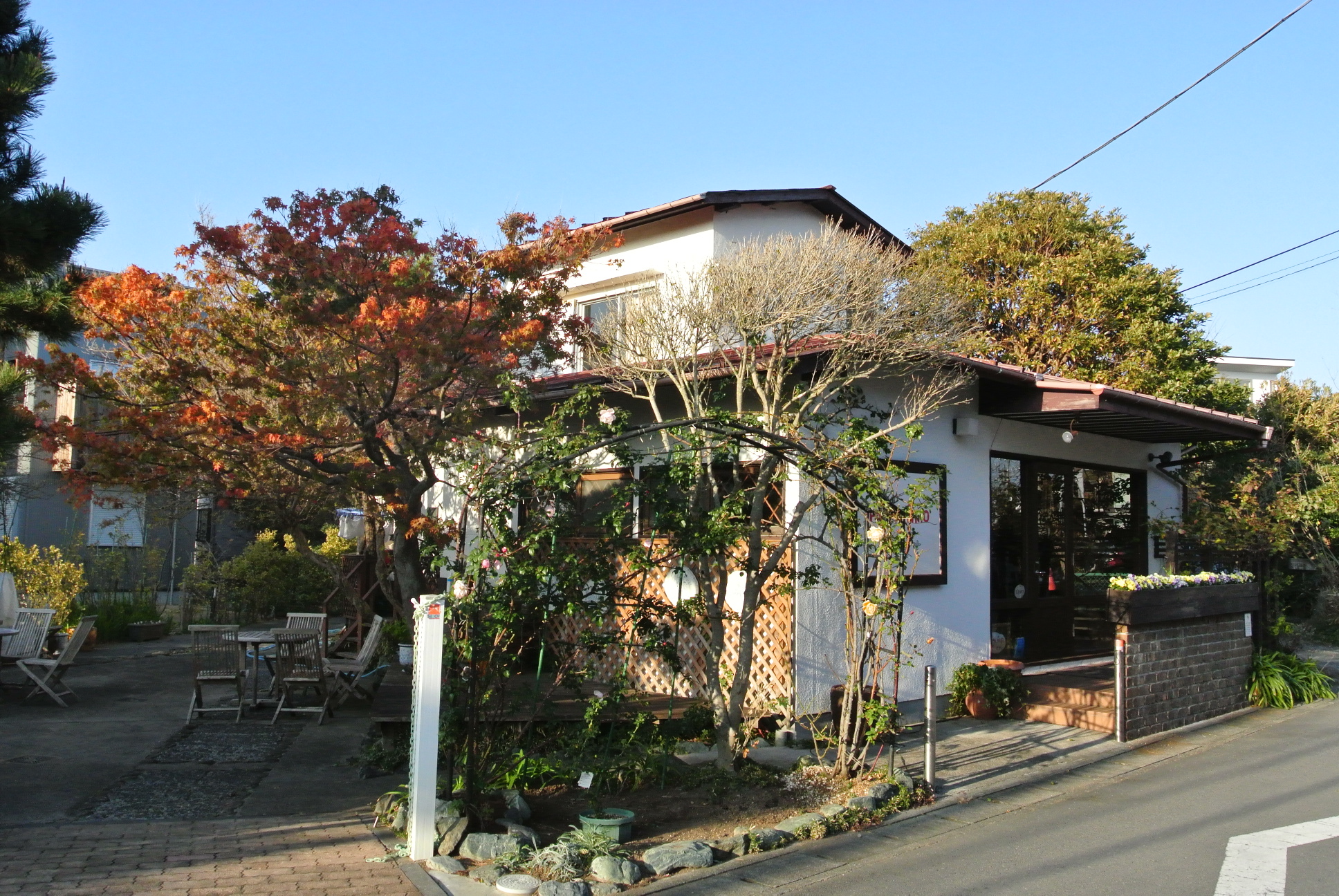 葉山珈琲パッパニーニョの外観です。木漏れ日が落ちる庭と、愛らしい店構えに引き寄せられる。