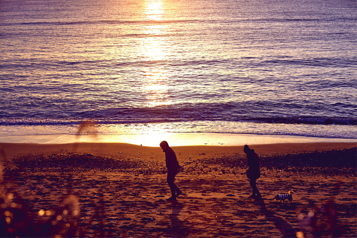 walk with dog in the Hayama beach 