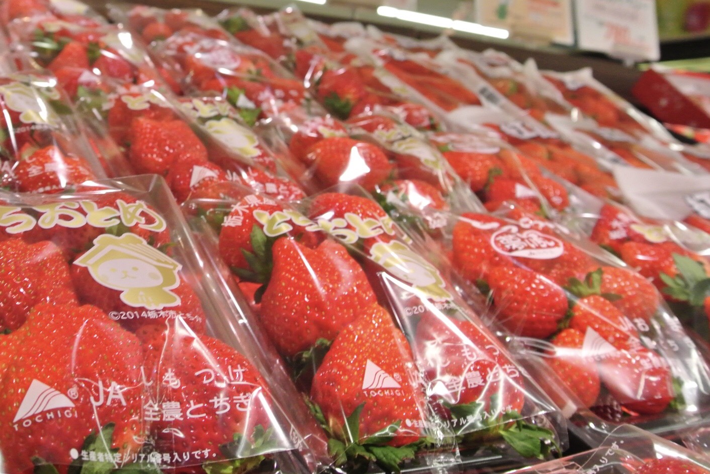 スーパー一面に並ぶ旬のイチゴ