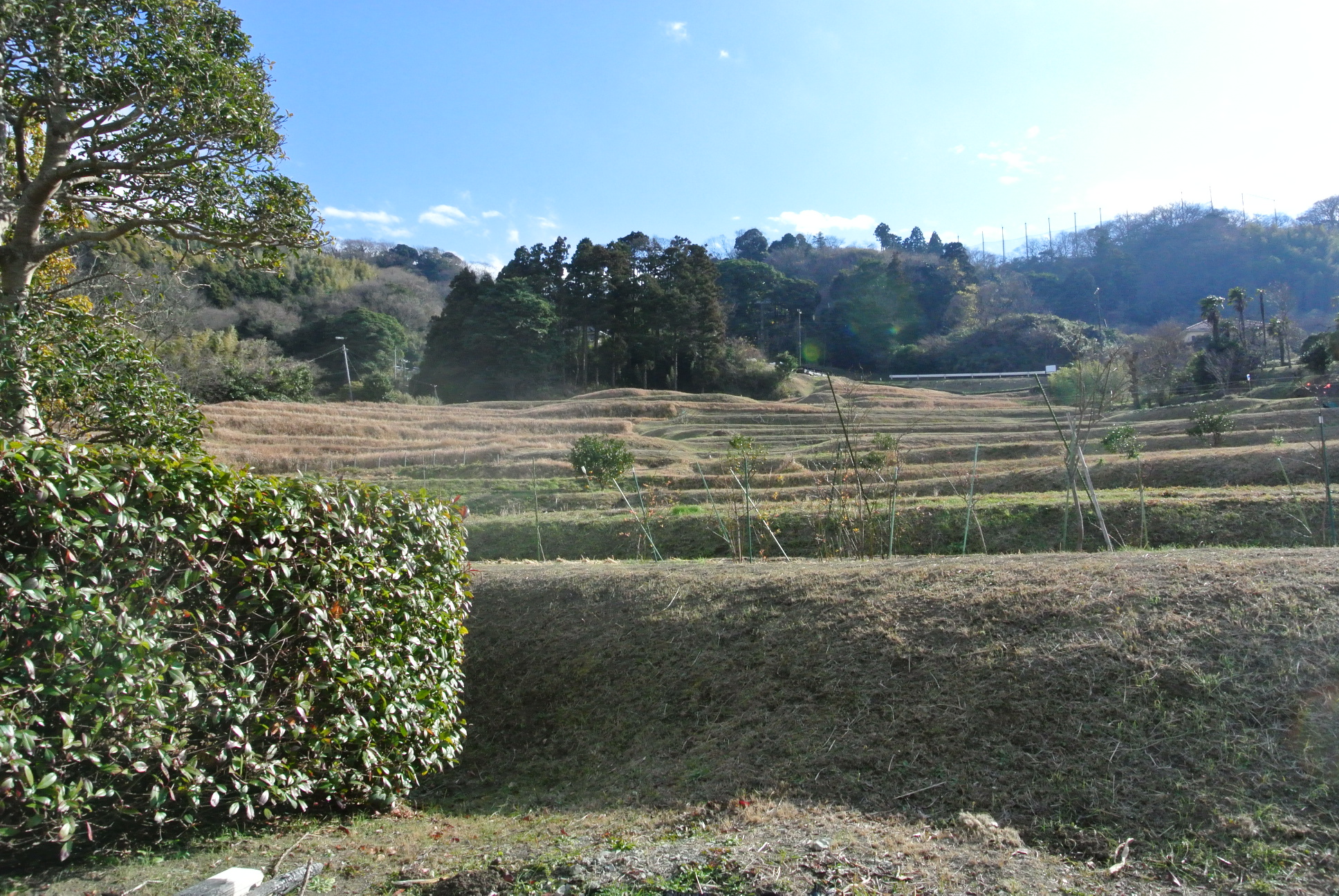和か菜がある上山口エリアは、棚田で有名だ。