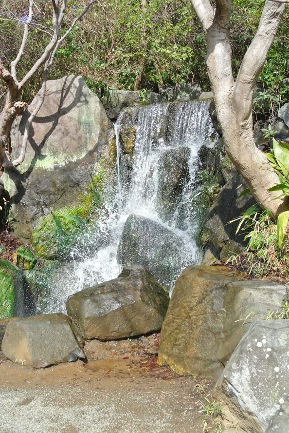 葉山しおさい公園の噴井の滝（ふけいのたき）。ごうごうと水音を立てている。