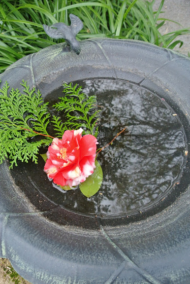 山口蓬春記念館、四季折々の庭の花