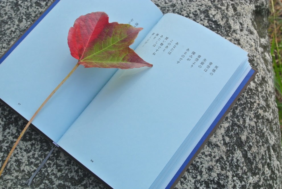 葉山の空気を感じながら、五感を働かせて読む本は格別である。