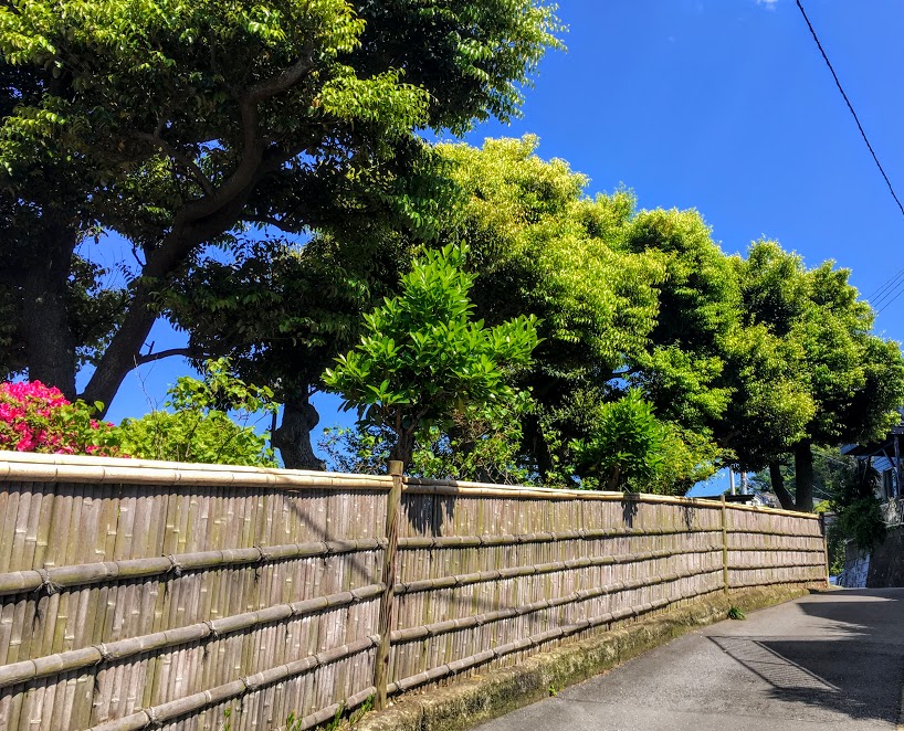 葉山の小道散歩を楽しむ、竹垣を発見