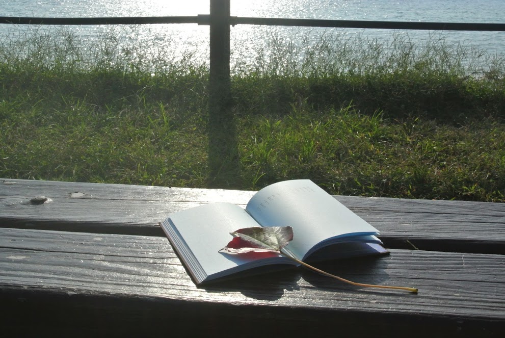 ヴィラから徒歩2分の葉山公園は、緑豊かな公園。奥には大浜海岸が広がり、ベンチに座って海を眺めながら読書が楽しめる。"