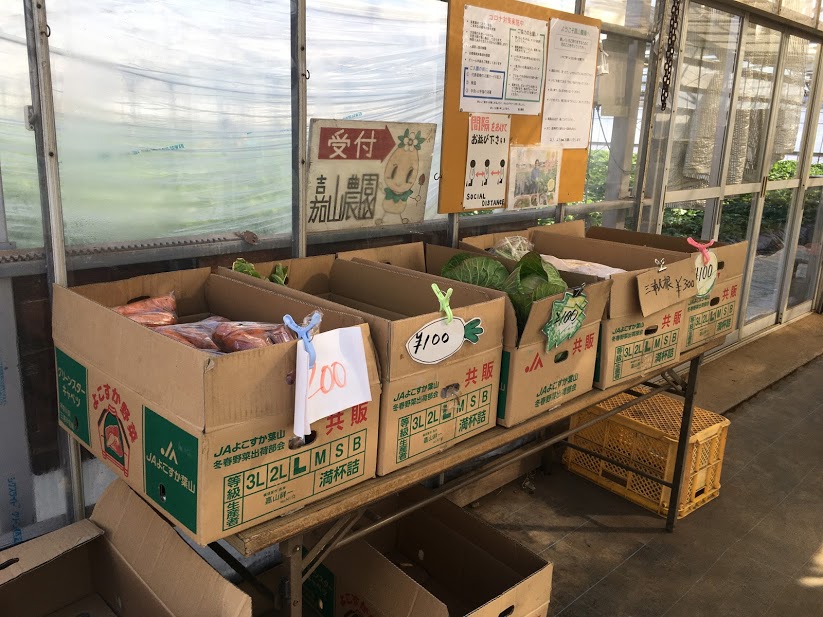 嘉山農園では葉山産の野菜も直売している
