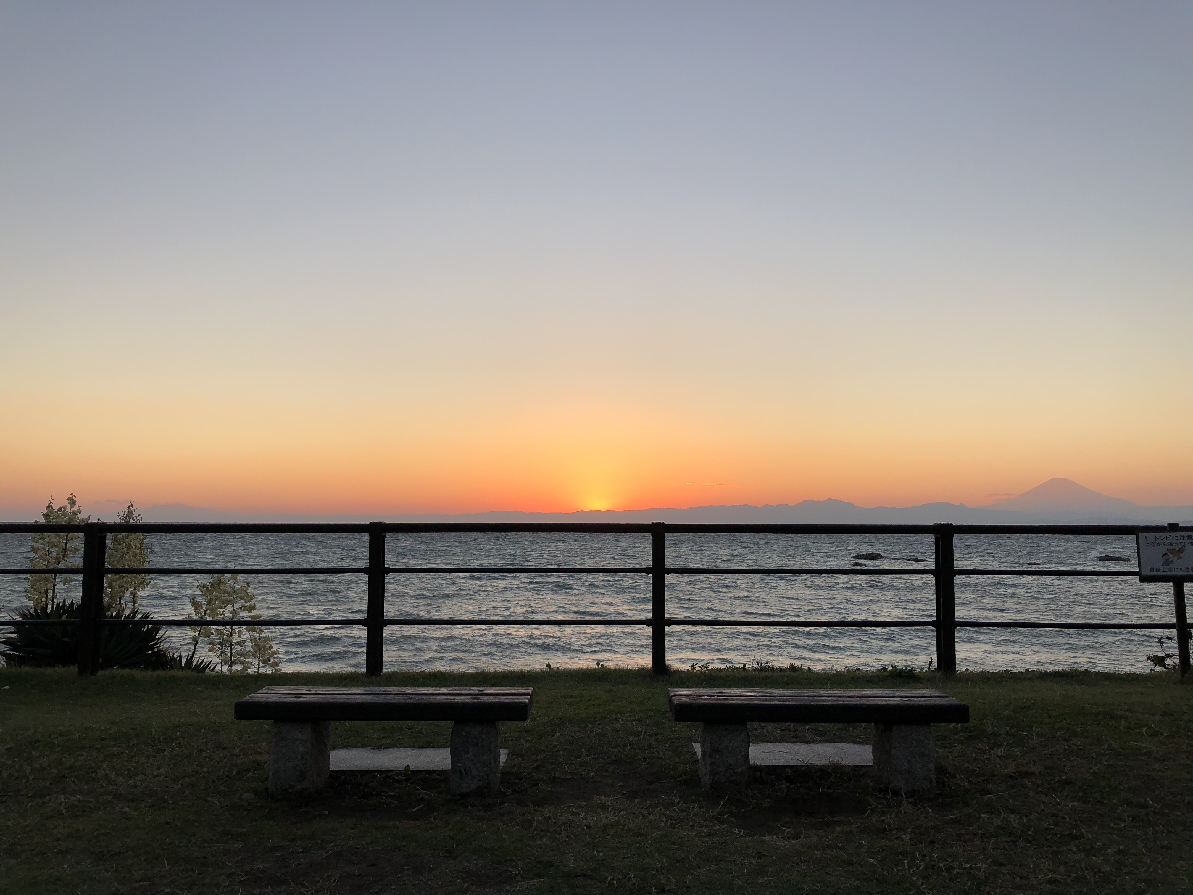 Vol 55 葉山公園から見る朝の富士山 そして夕日 Blog The Canvas Hayama Park 葉山公園を庭に 葉山 の空気に包まれる旅